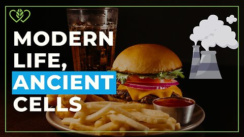 Thriving in a Modern World — Redox for Resilience to Daily Stressors | CatherineEdwards.life