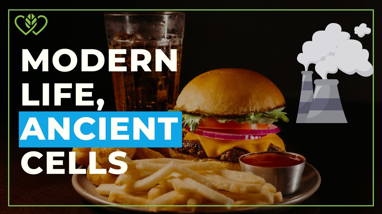 Thriving in a Modern World — Redox for Resilience to Daily Stressors | CatherineEdwards.life