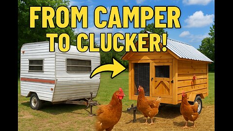 From Camper to Clucker： Turning an Old Trailer into a Mobile Chicken Coop!