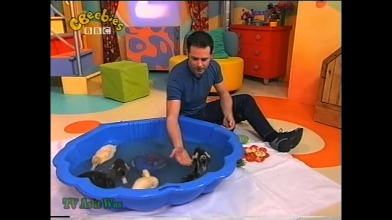CBeebies 2002 - Chris Feeds The Ducklings
