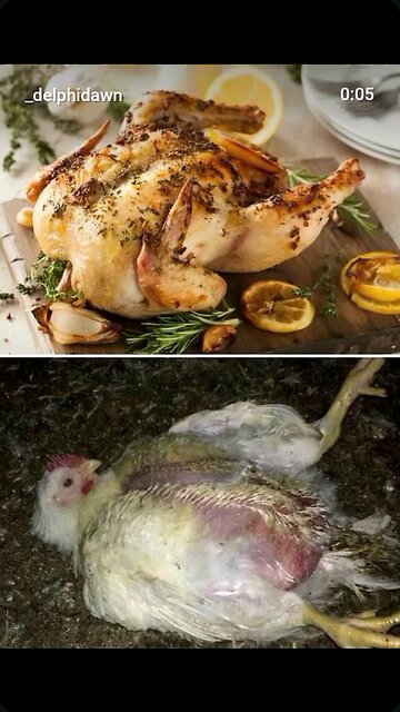 How Carnists See Meat VS How Vegans See