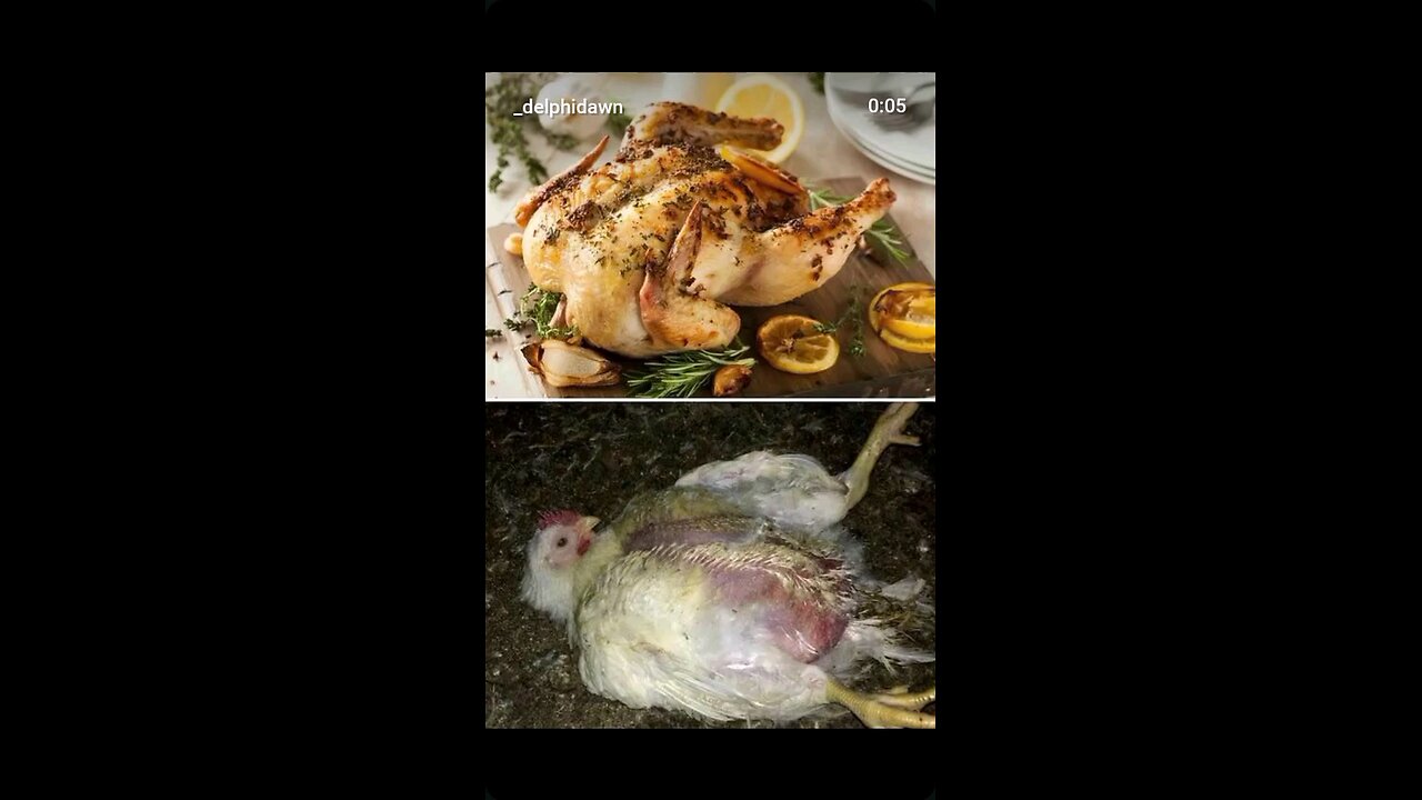 How Carnists See Meat VS How Vegans See