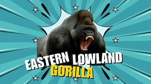 Gorilla Giants: Secrets of the Eastern Lowland Ape