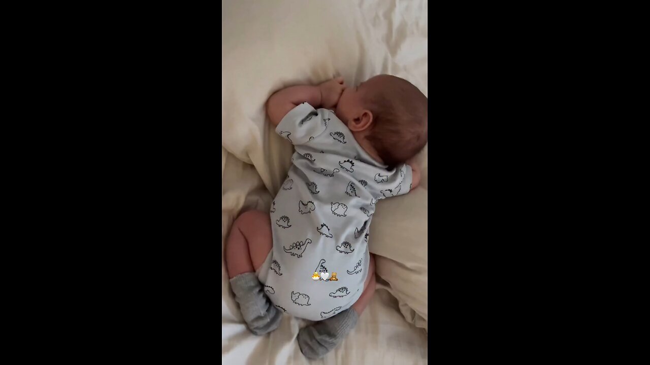 mimiš„°
