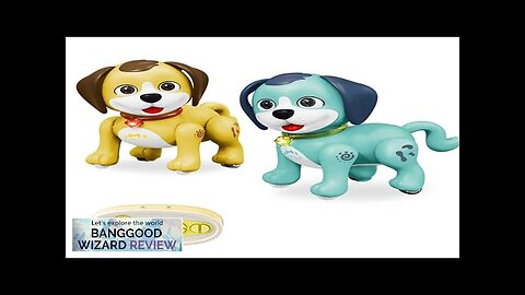 2.4GHz Remote Control Robot Pets Dog Rechargeable Cute Lighting and Music Robot Review