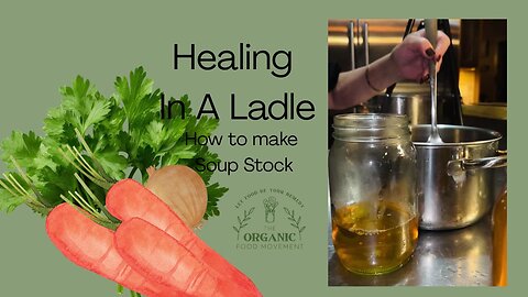 Soup Season Reset 🍲 | 2 Healing Stocks Every Kitchen Needs (Veggie + Chicken)