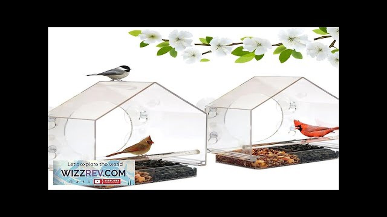 Nature Anywhere Window Feeders (2 Polycarbonate) Review