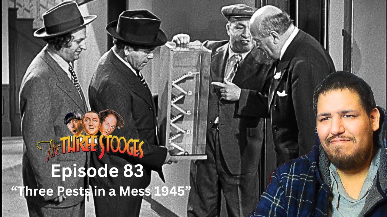 The Three Stooges | Episode 83 | "Three Pests in a Mess 1945" | Reaction