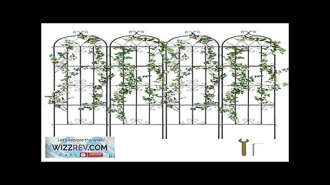 4 Packs Metal Garden Trellis for Climbing Plant Support 87x20 in Rustproof Review