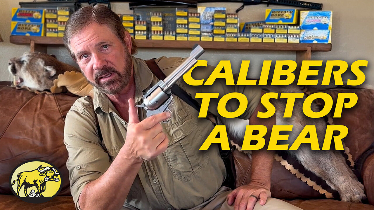 Handguns for self-defense against wild animals: What it takes to stop a grizzly