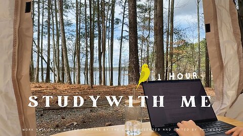 1-HOUR STUDY WITH ME｜Camp view | Natural sound | Lofi Piano playlist | Concentration | Pomodoro 30-5