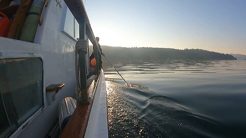 Pulling our prawn trap on Thanksgiving