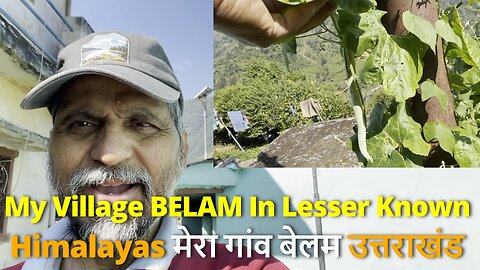 My Village BELAM In Lesser Known Himalayas मेरा गांव बेलम उत्तराखंड #himalayas #paurigarhwal #rawat