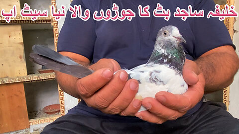 New Breeder Setup Of Khalifa Sajid Butt Watch Video In HD Urdu/Hindi