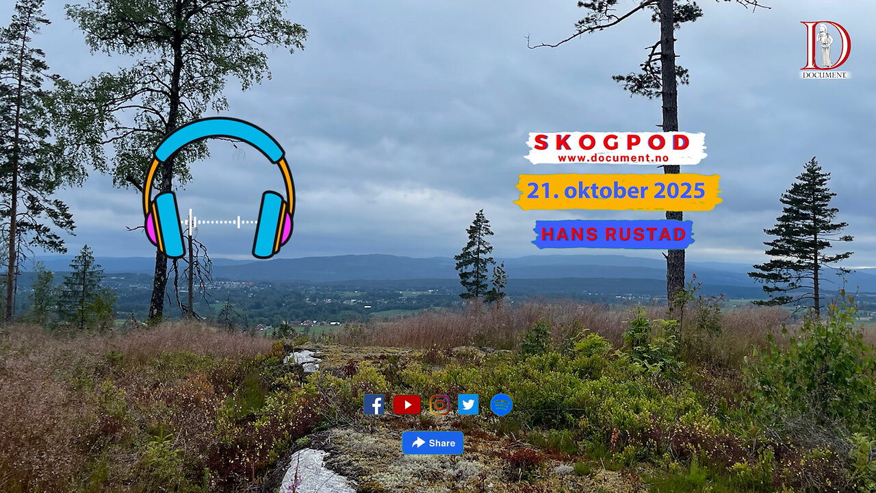 Skogpod 21. oktober 2025