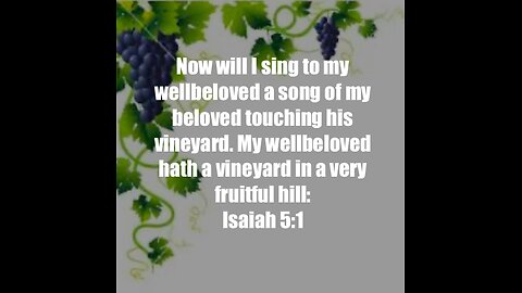 The Vineyard Song Isaiah 5:1