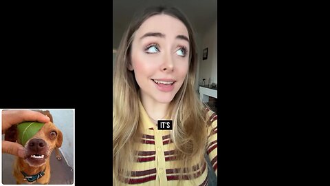 A little bit of everything series (episode 16: LOTR stuff)