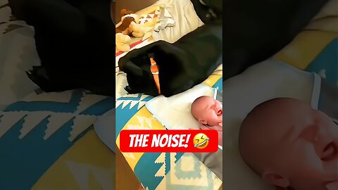 Dog's Funny Reaction to Crying Baby!