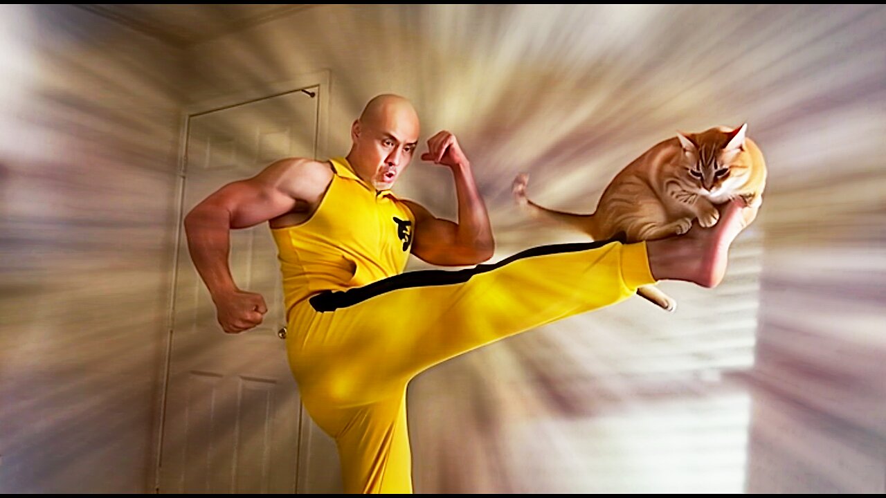 Discussion on Messianic Prophecies & Intense Q&A