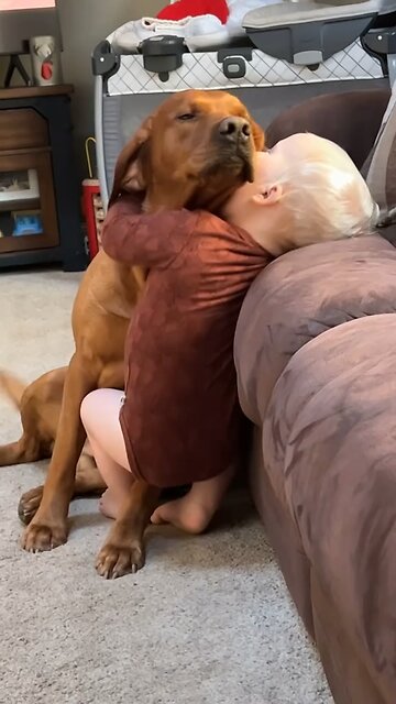Dog and baby are best friends