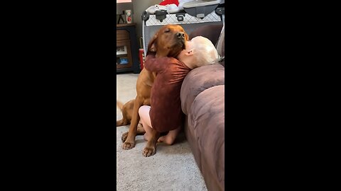 Dog and baby are best friends