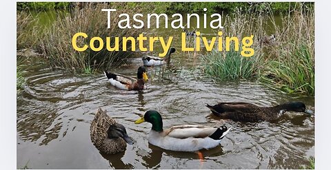 Tasmania: Creation Sabbath Blessings