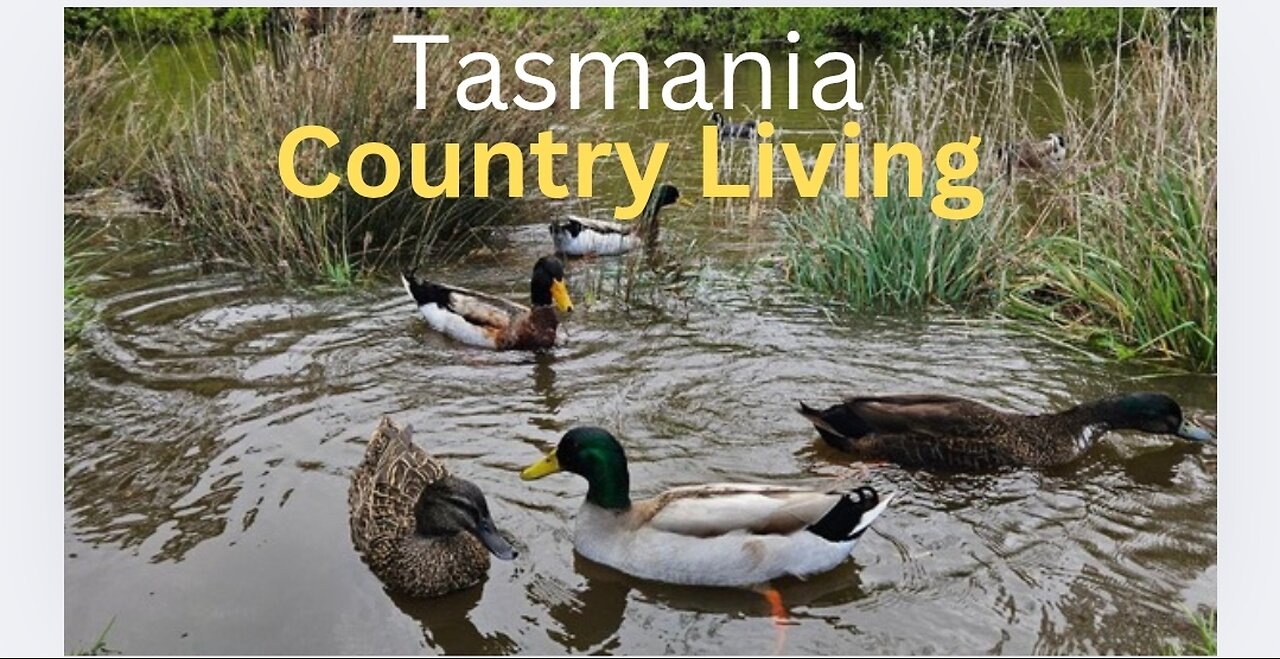 Tasmania: Creation Sabbath Blessings