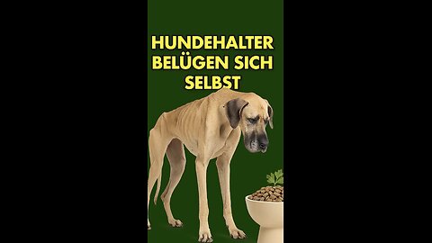 😱 Hundehalter belügen sich selbst!