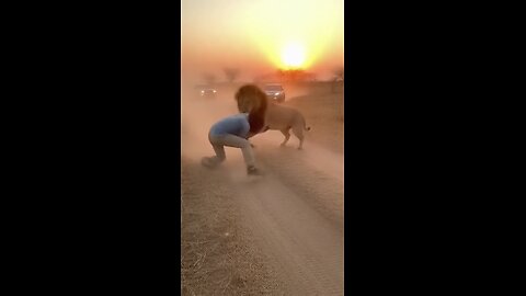 Man Battles Giant Lion in African Forest 😱🦁" #AfricanForest #ManVsWild #LionEncounter #WildLife