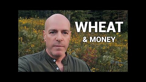 We’re Running Out of Wheat That’s Just the Beginning
