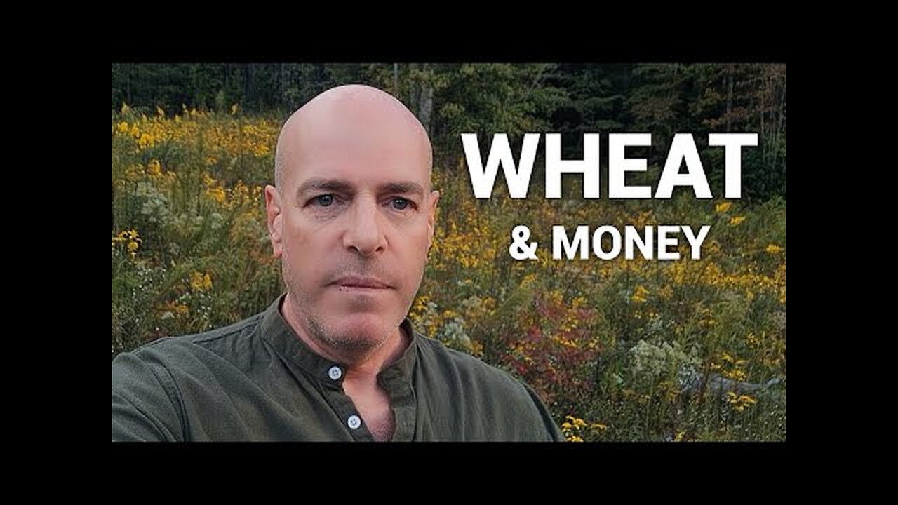 We’re Running Out of Wheat That’s Just the Beginning