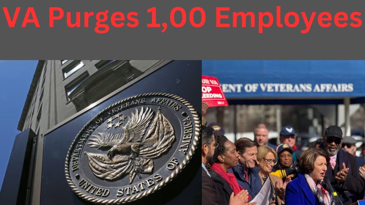 VA Purges Employees