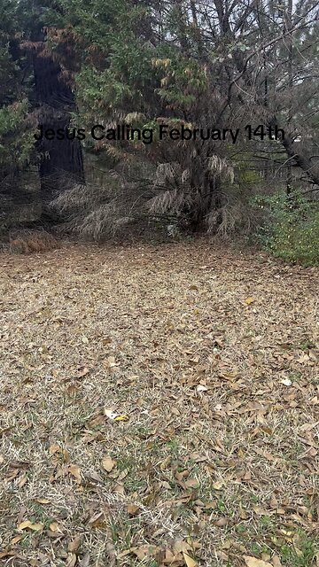 Jesus Calling February 14th!