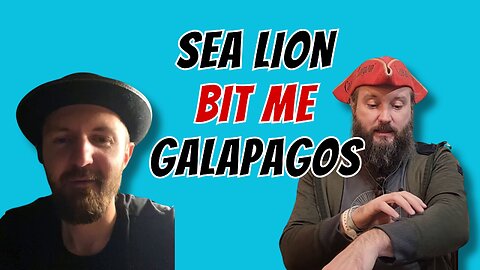 Sea Lion Bit me in the Galapagos Islands!