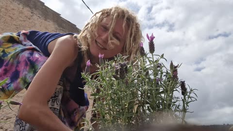 Rescuing Recycled Plants