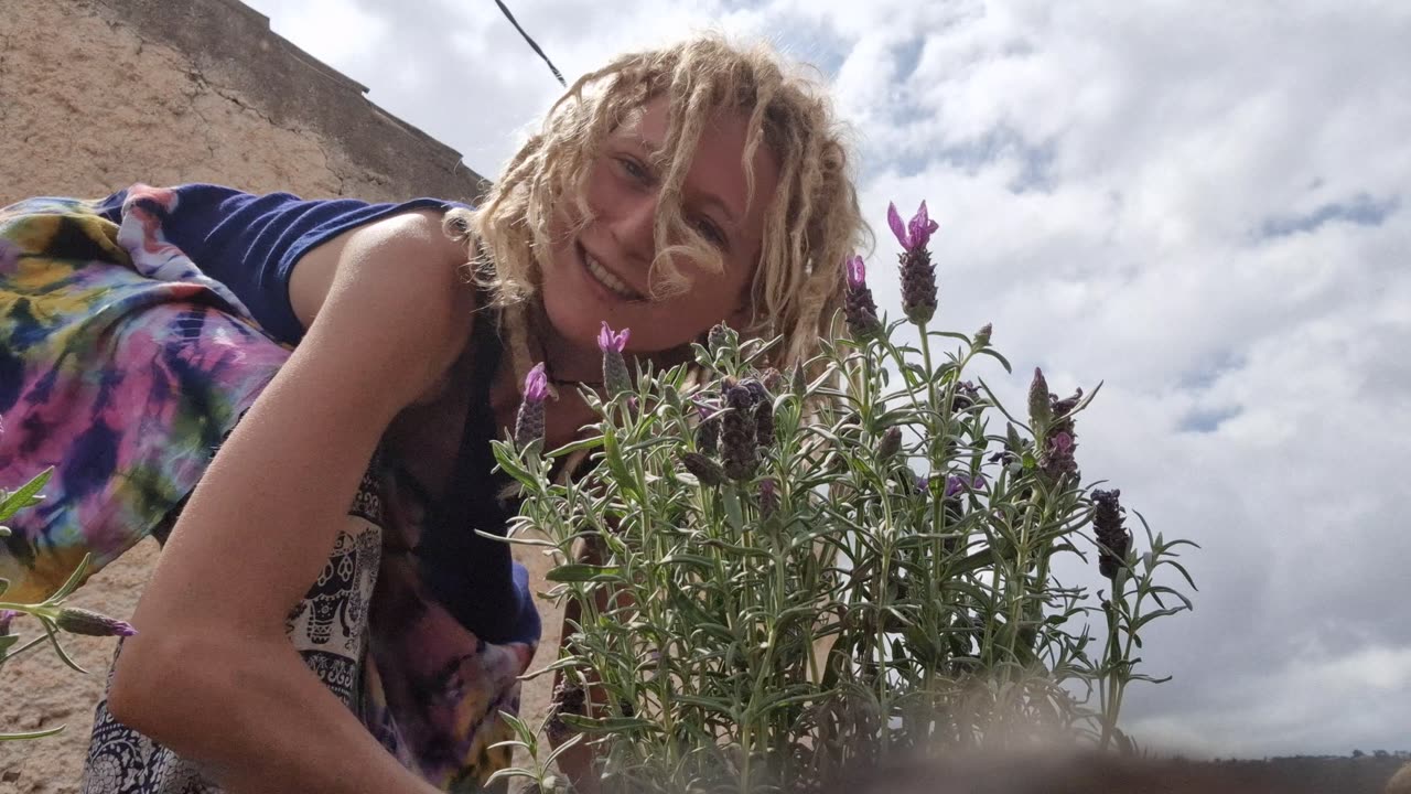 Rescuing Recycled Plants