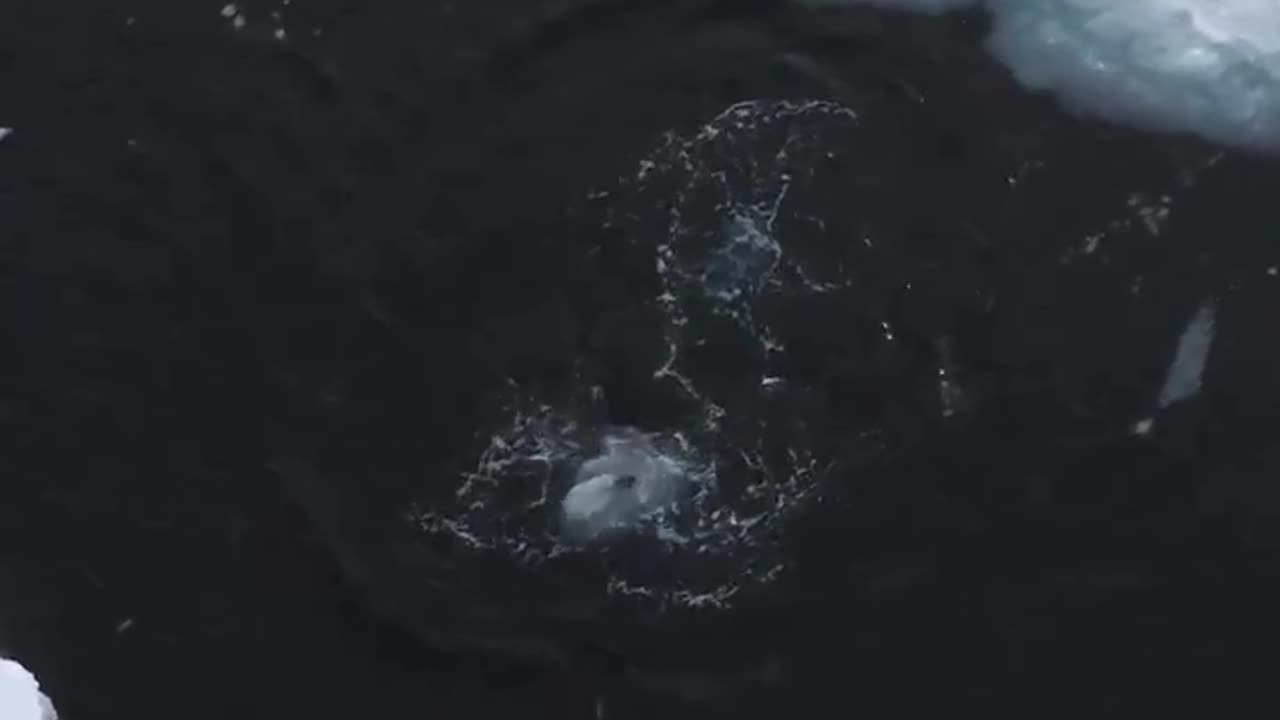 Just having fun 😊