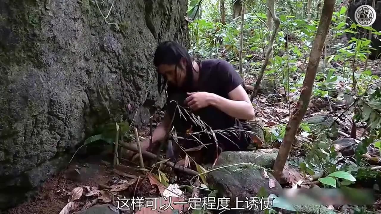 Survival Life Working All Night with Remix