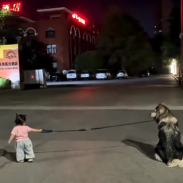 She Is Just 5Kg...And She Walked The 25Kg Dog Like A Boss🐕💪😉😂