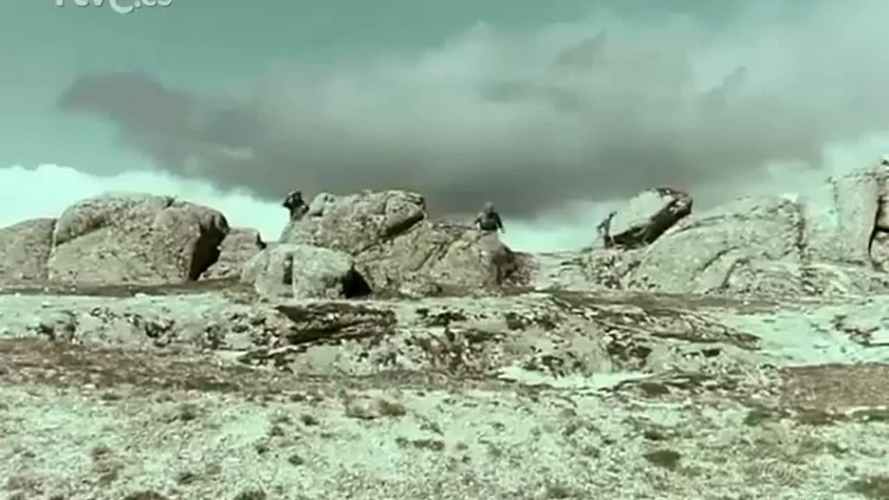 Retro-War:🇪🇸Spanish Army Training Video from 1975