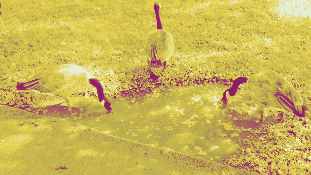 A Walk Along the Shore