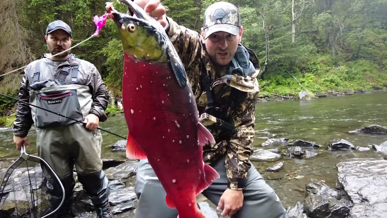 Fishing for Salmon in Alaska!