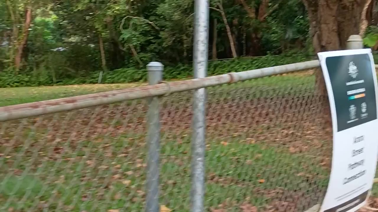 20.11.2025 Arara Street Footpath 1