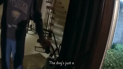 4 legged hero in Okaloosa County Florida