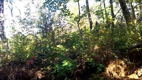 Branch Headwaters June 1, 2013