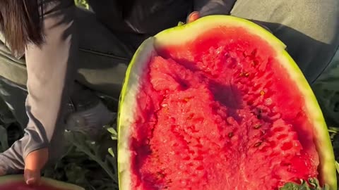 🤯🛠️ You Won't Believe These Tools In Action! | FeedMyCuriosity