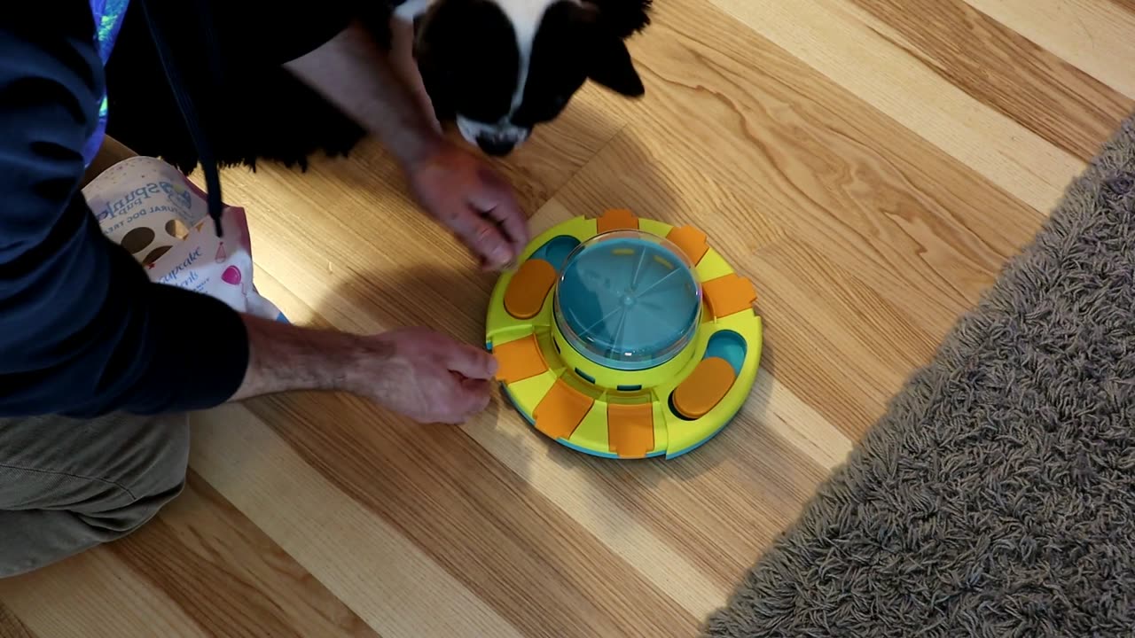 Potaroma Dog IQ Puzzle Toy With 2 Levels Slow Feeder Gadget Review