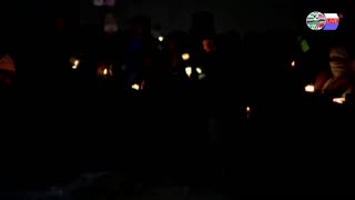 TWO CATS U.S. POLITICAL NEWS