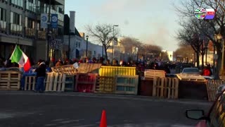 TWO CATS U.S. POLITICAL NEWS