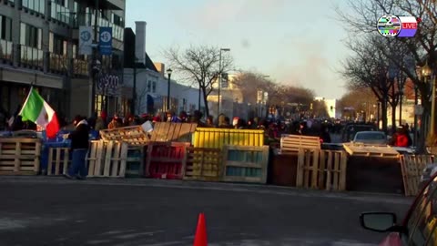 TWO CATS U.S. POLITICAL NEWS